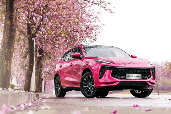 1646292015224632.jpg a4.jpg