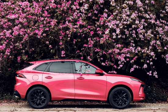 1646292029937036.jpg a6.jpg