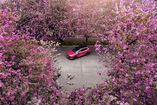 1646292034855338.jpg a7.jpg