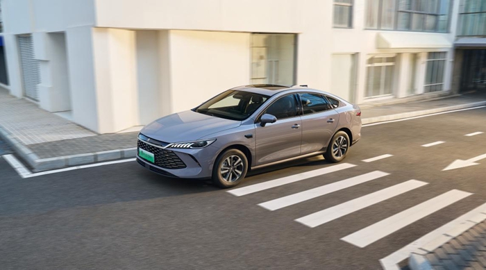 1768130075570764.jpg 2.jpg