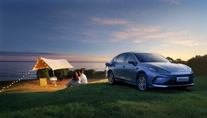 1768130082291878.jpg 3.jpg