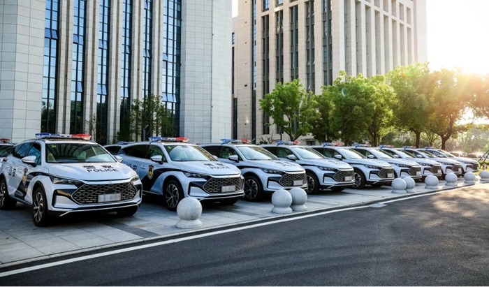 1769652522354298.jpg 4.jpg