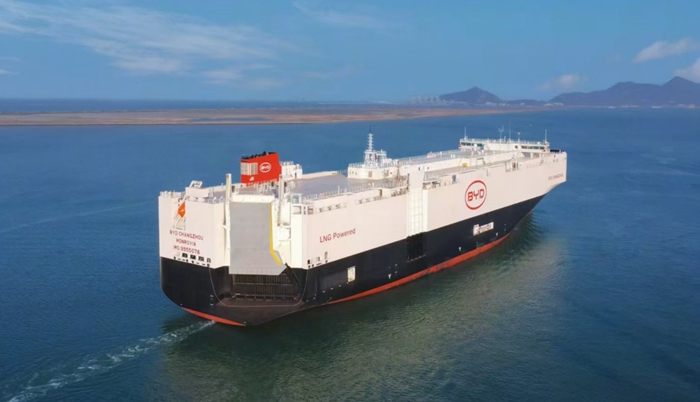 1769996236300302.jpg 3.jpg